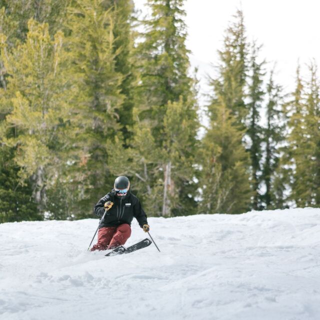 Staff Resources – PSIA-AASI